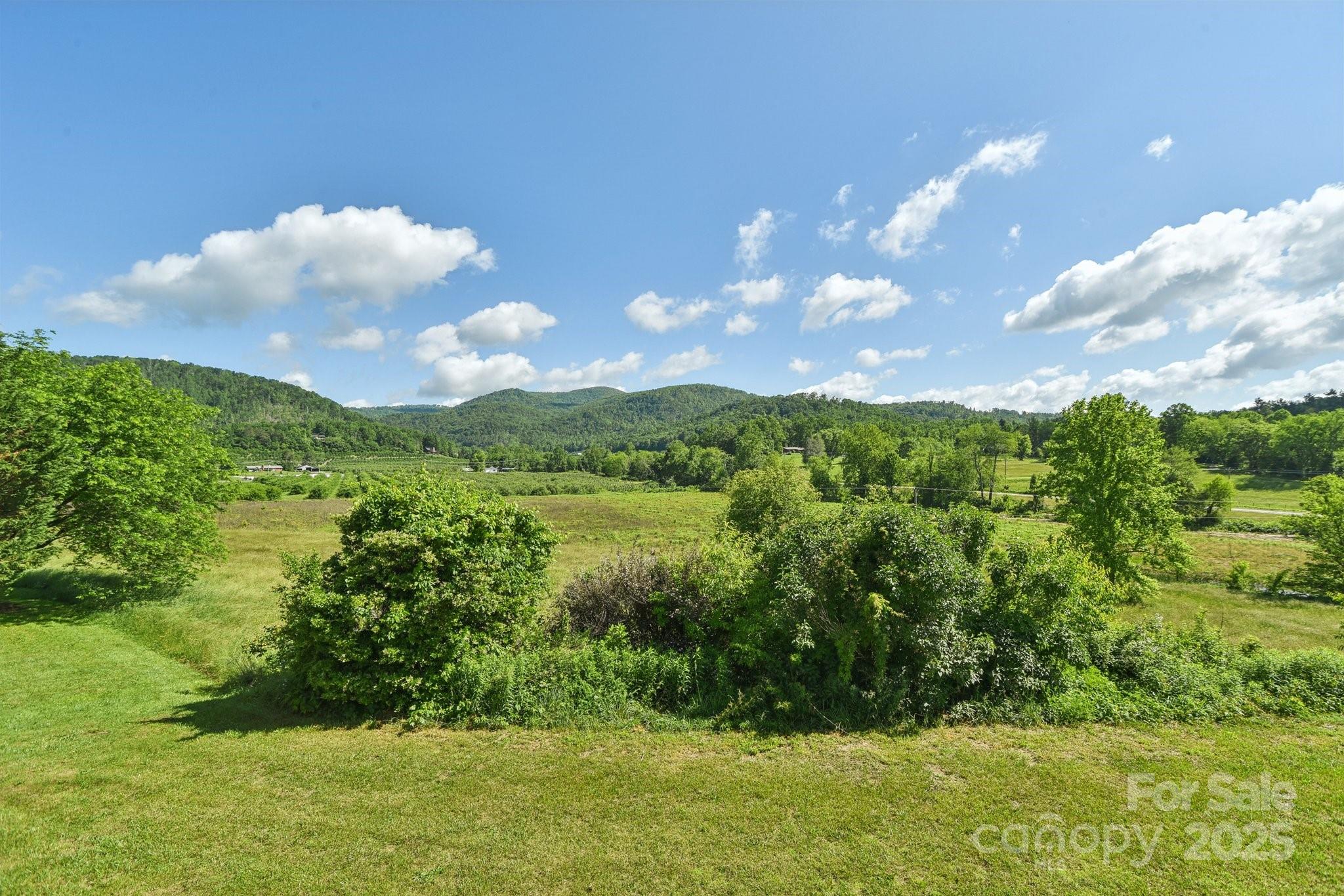 2281 Bearwallow Road Hendersonville, NC 28792 - Photo 38 of 46 a view of a lake and a yard