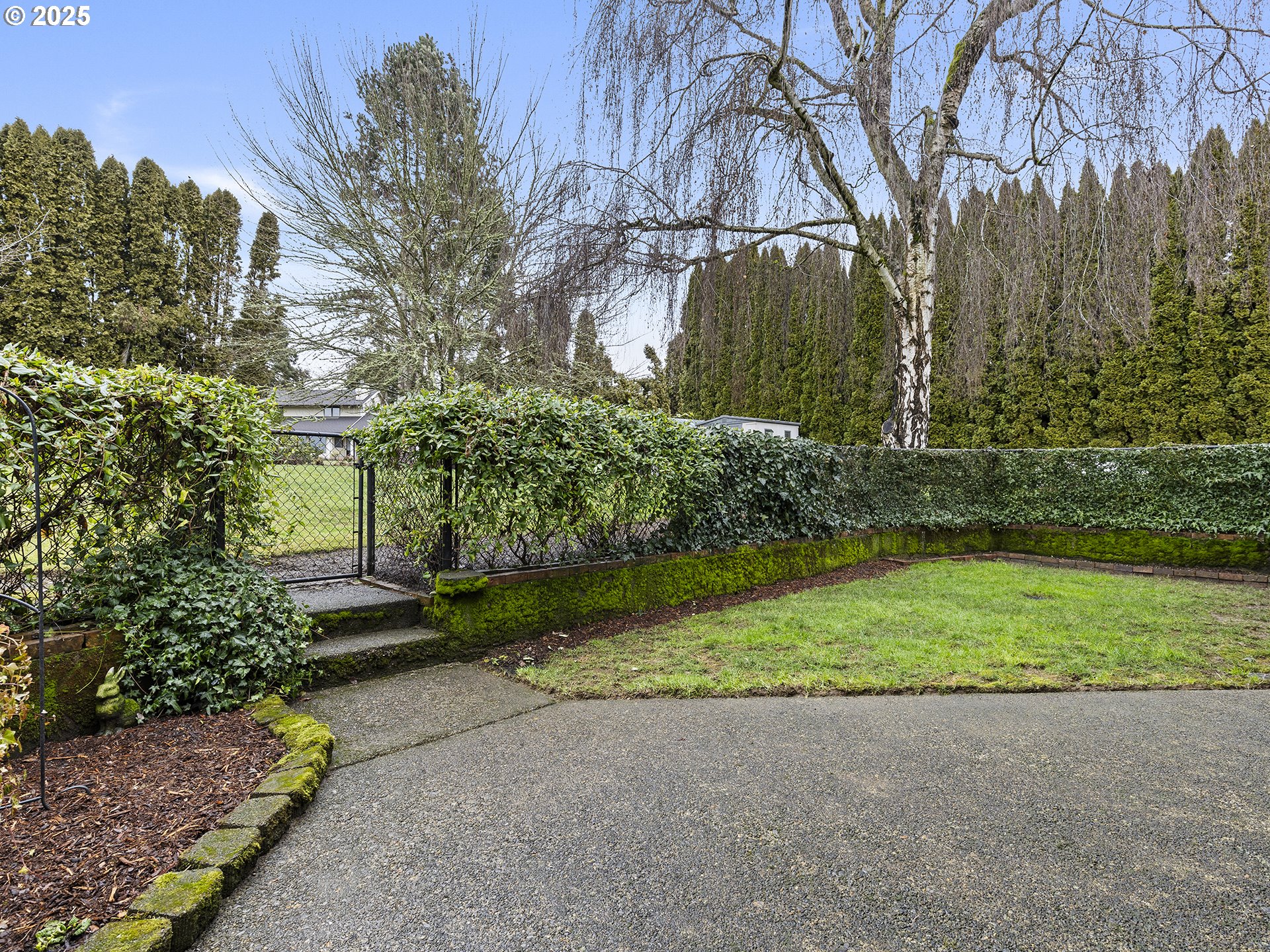 5906 Northwest 169th Street Ridgefield, WA 98642 - Photo 26 of 35 a view of a back yard