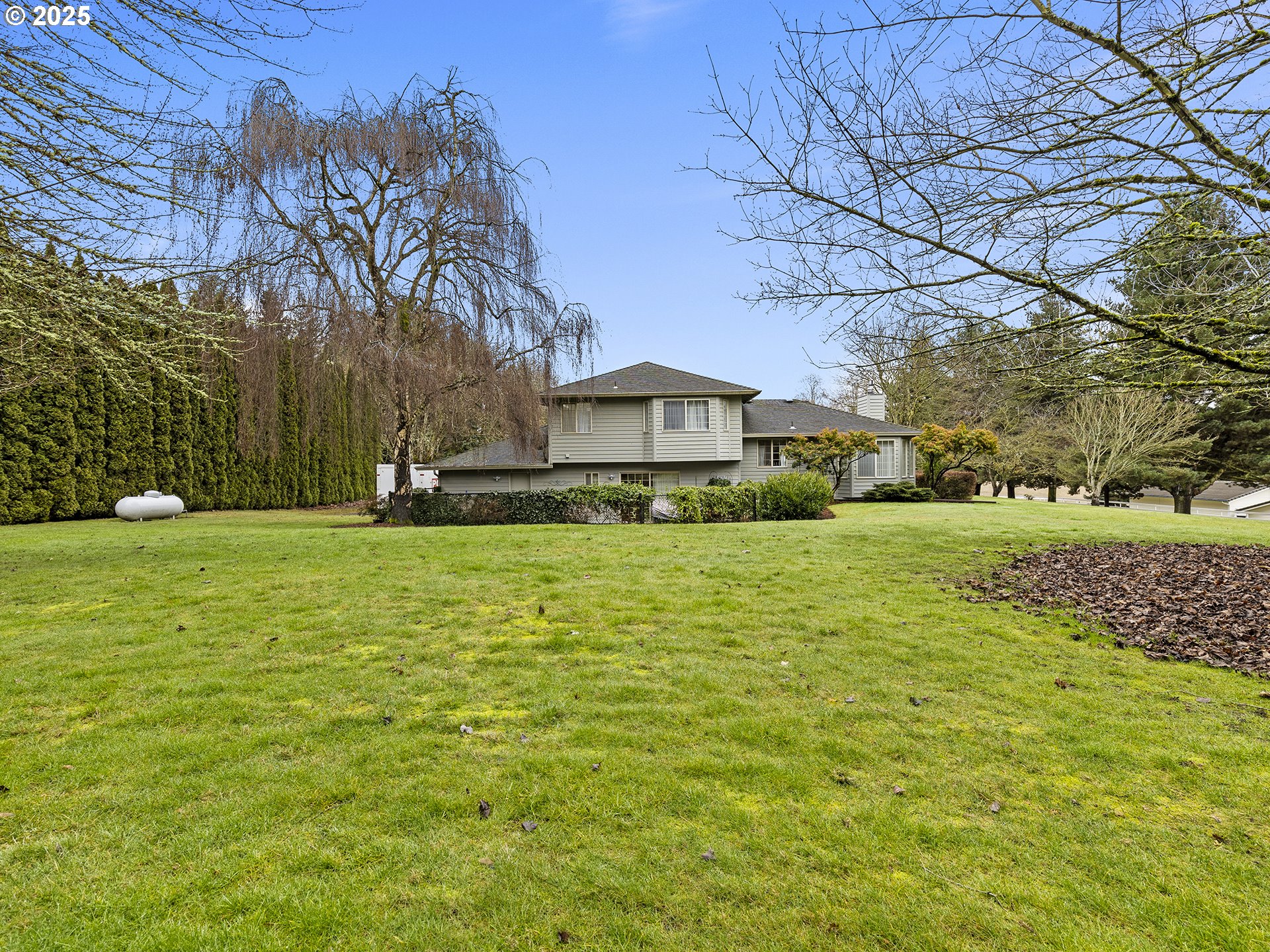 5906 Northwest 169th Street Ridgefield, WA 98642 - Photo 29 of 35 a large tree in front of a house