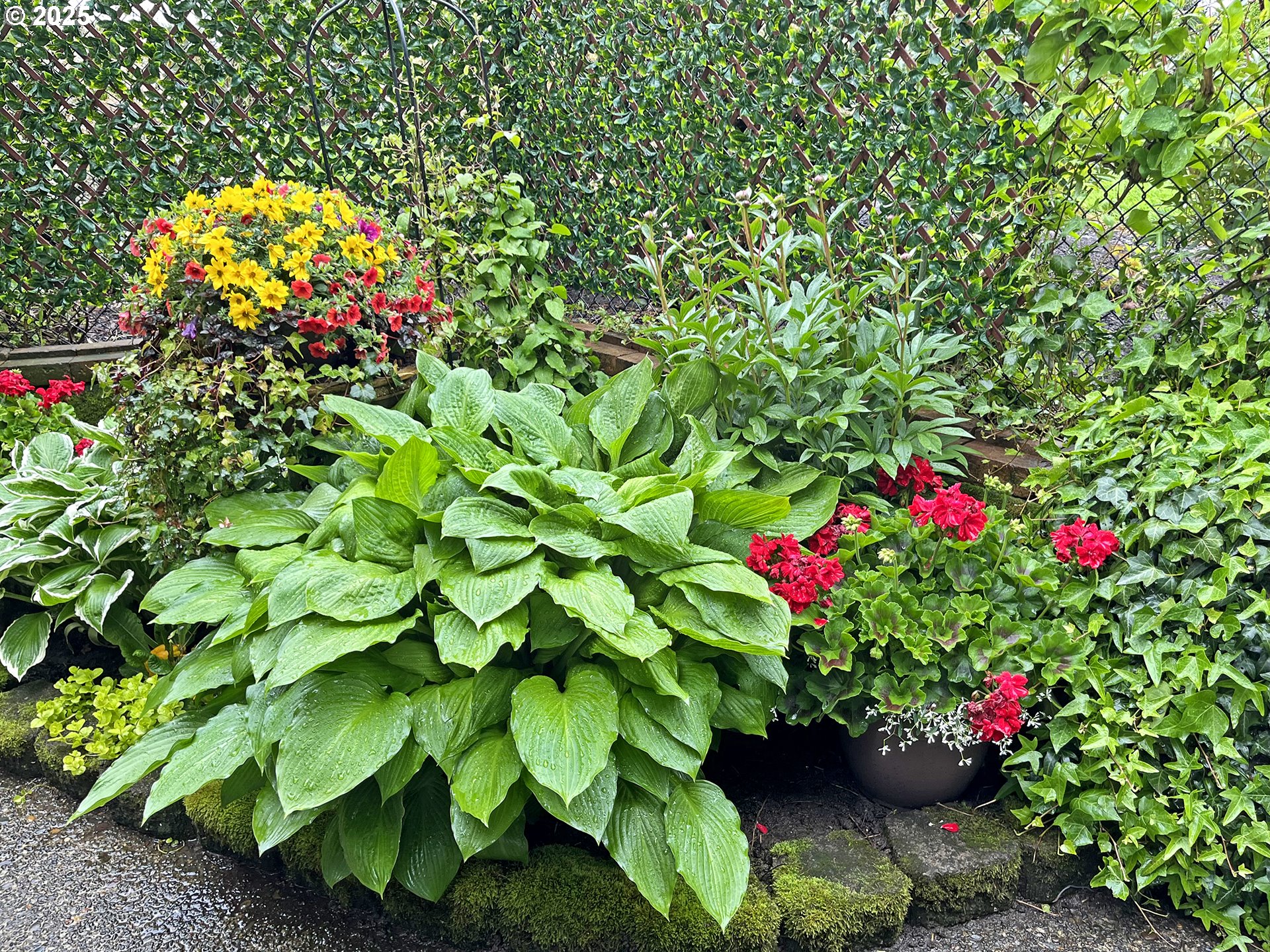 5906 Northwest 169th Street Ridgefield, WA 98642 - Photo 32 of 35 a view of a flower in a garden