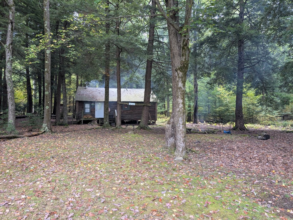 134 JF Road Marienville, PA 16239 - Photo 3 of 15