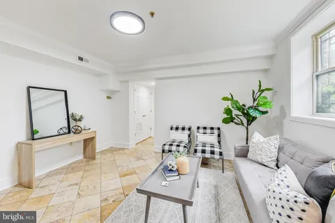 a living room with furniture potted plant and window