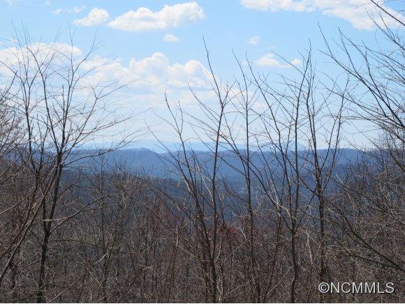 89 Buck Ridge Road Fairview, NC 28730 - Photo 1 of 11 Gallery Image 1