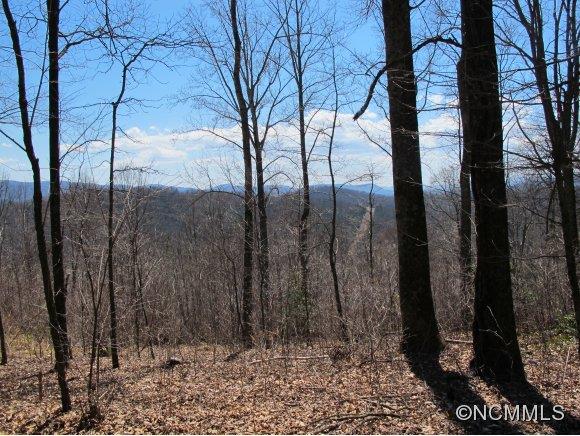 89 Buck Ridge Road Fairview, NC 28730 - Photo 11 of 11 Gallery Image 11