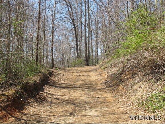 89 Buck Ridge Road Fairview, NC 28730 - Photo 4 of 11 Gallery Image 4