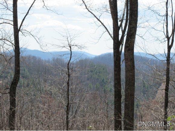 89 Buck Ridge Road Fairview, NC 28730 - Photo 5 of 11 Gallery Image 5
