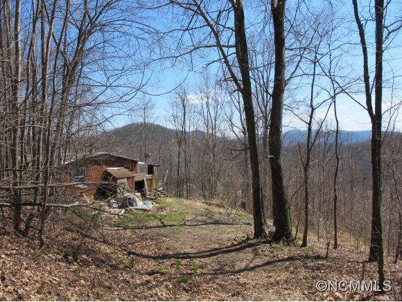 89 Buck Ridge Road Fairview, NC 28730 - Photo 6 of 11 Gallery Image 6