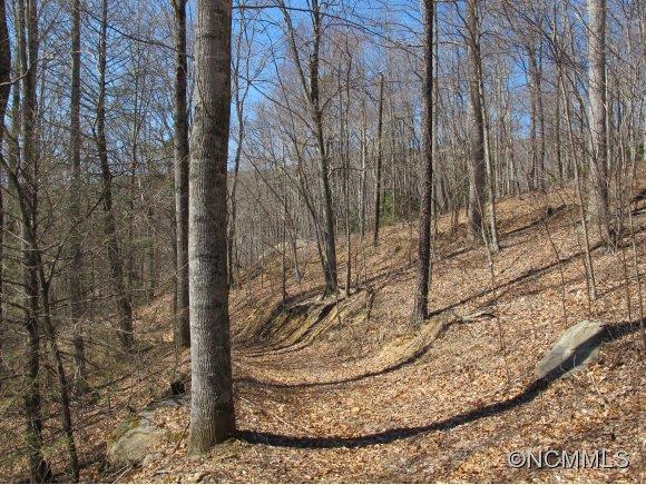 89 Buck Ridge Road Fairview, NC 28730 - Photo 7 of 11 Gallery Image 7