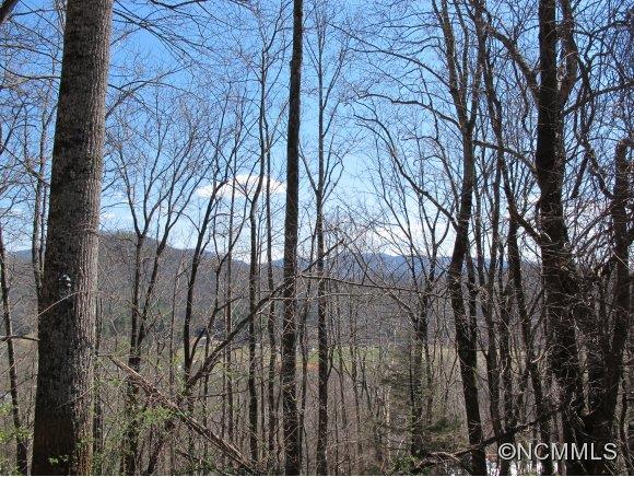 89 Buck Ridge Road Fairview, NC 28730 - Photo 8 of 11 Gallery Image 8