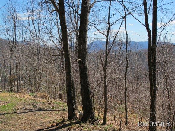 89 Buck Ridge Road Fairview, NC 28730 - Photo 9 of 11 Gallery Image 9