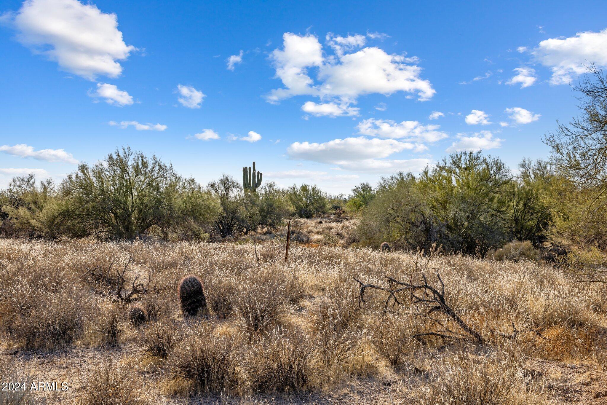 8190 East Ranch Road, Unit 183 Scottsdale, AZ 85266 - Photo 11 of 27 a view of a dry yard with lots of trees