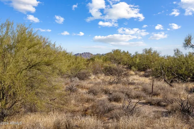 a view of a city with lots of bushes