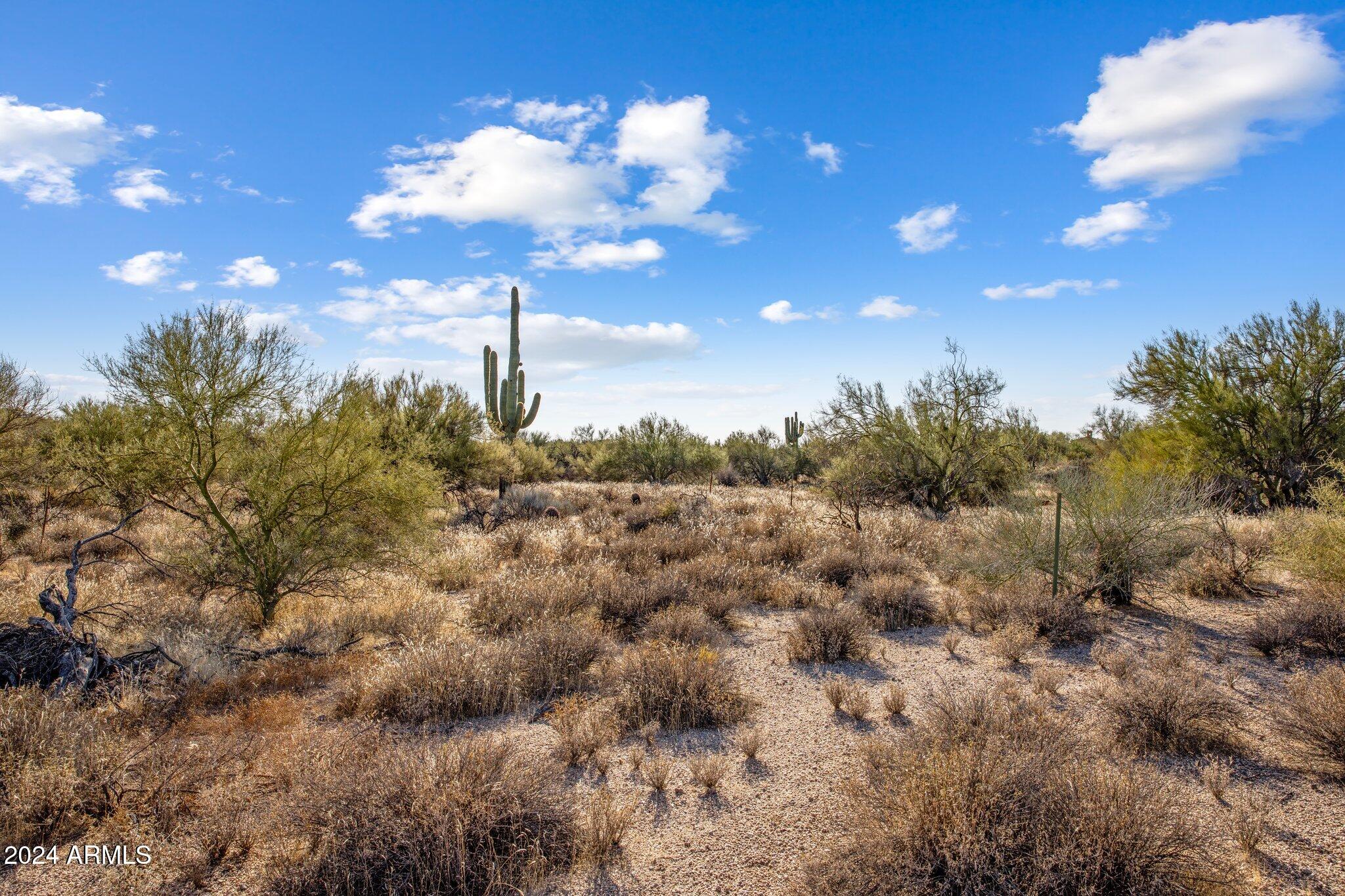 8190 East Ranch Road, Unit 183 Scottsdale, AZ 85266 - Photo 8 of 27 a view of a yard with entertaining space