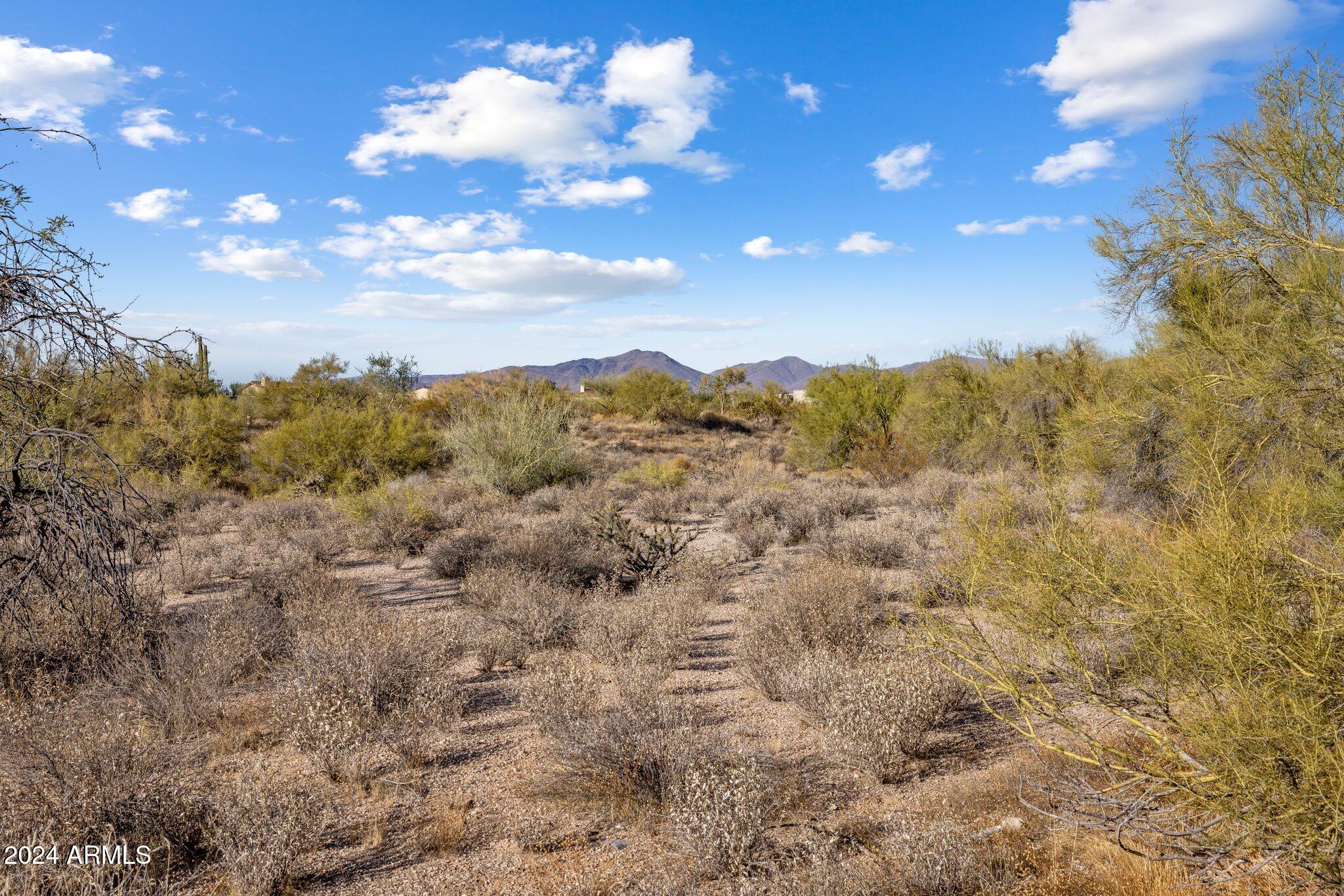 8190 East Ranch Road, Unit 183 Scottsdale, AZ 85266 - Photo 10 of 27 a view of a bunch of trees