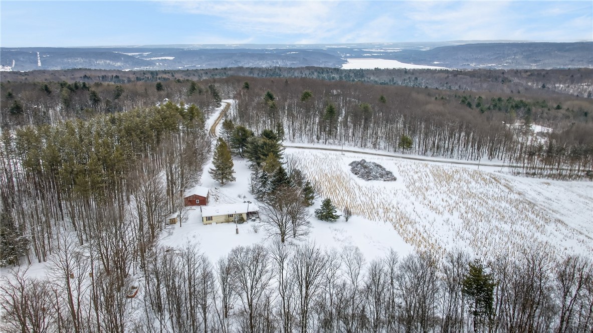 10217 Flaherty Road Prattsburgh, NY 14873 - Photo 29 of 31