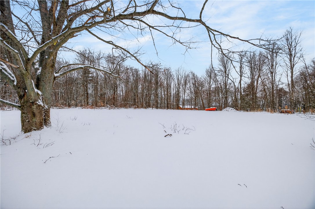 10217 Flaherty Road Prattsburgh, NY 14873 - Photo 6 of 31
