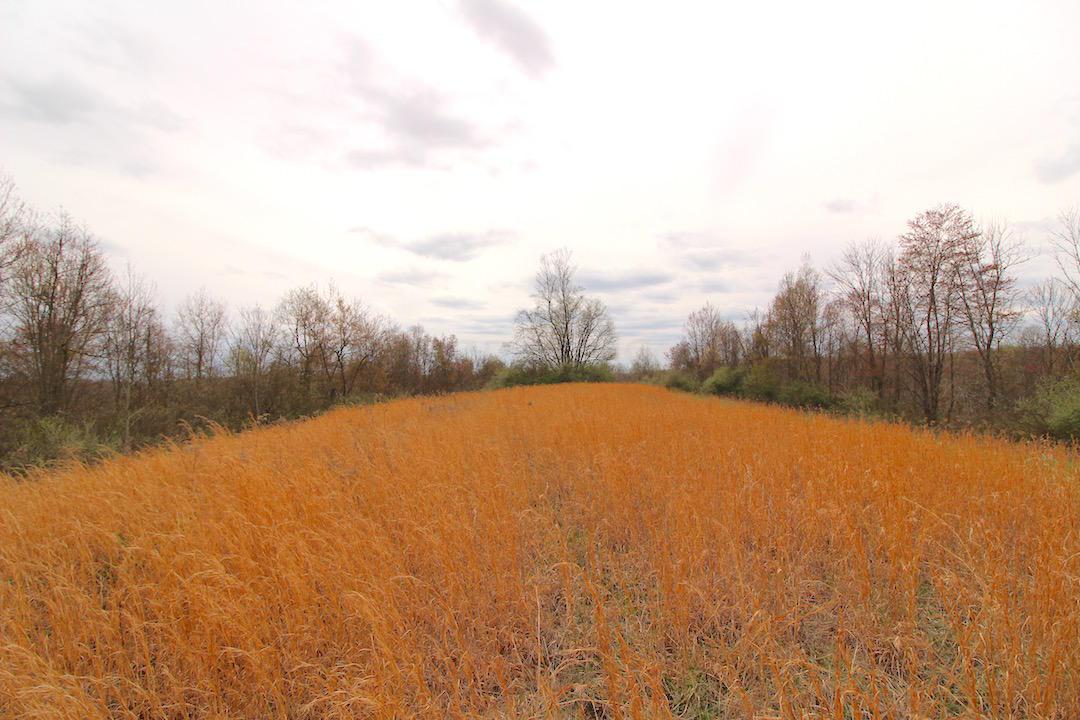 0 Archers Ridge Road Caldwell, OH 43724 - Photo 30 of 40 Gallery Image 30