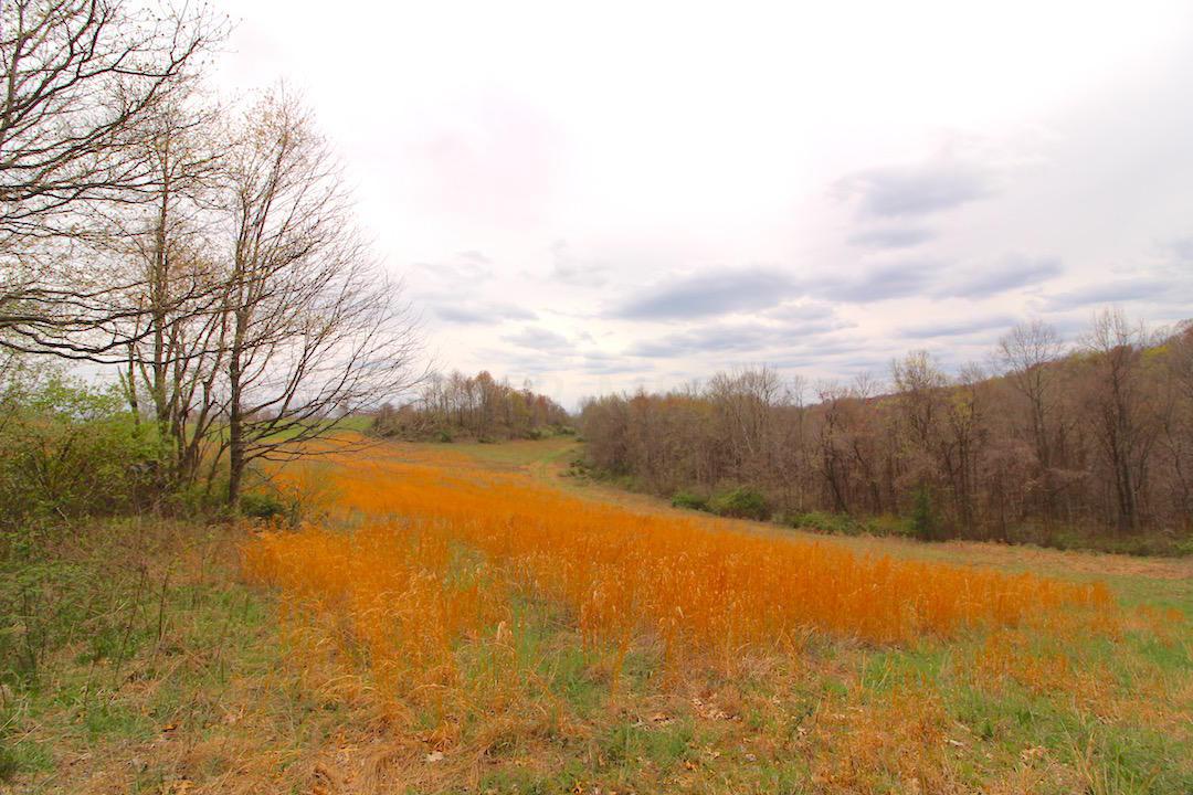 0 Archers Ridge Road Caldwell, OH 43724 - Photo 35 of 40 Gallery Image 35