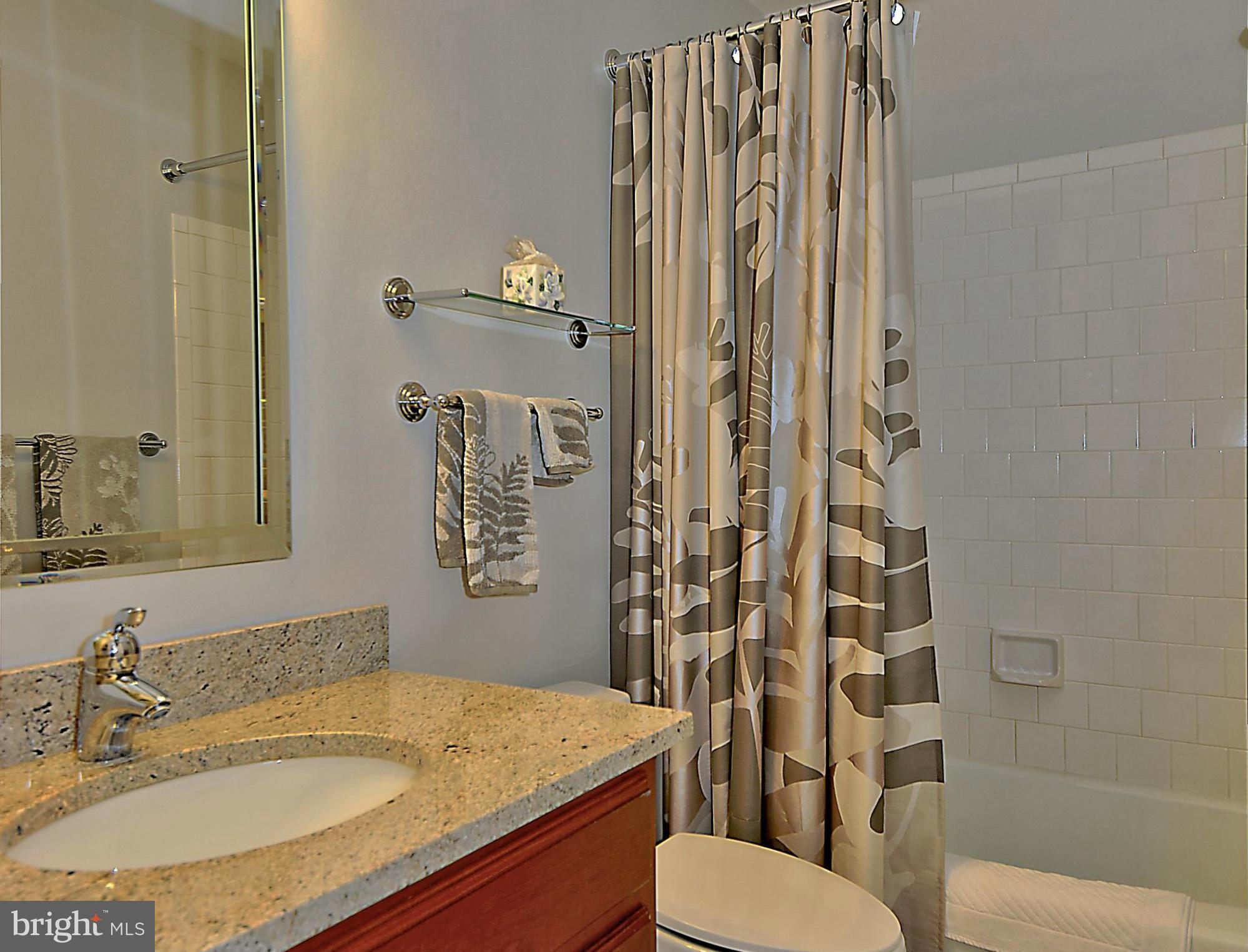 8002 Quarry Ridge Way Bethesda, MD 20817 - Photo 19 of 30 Full Bath #2