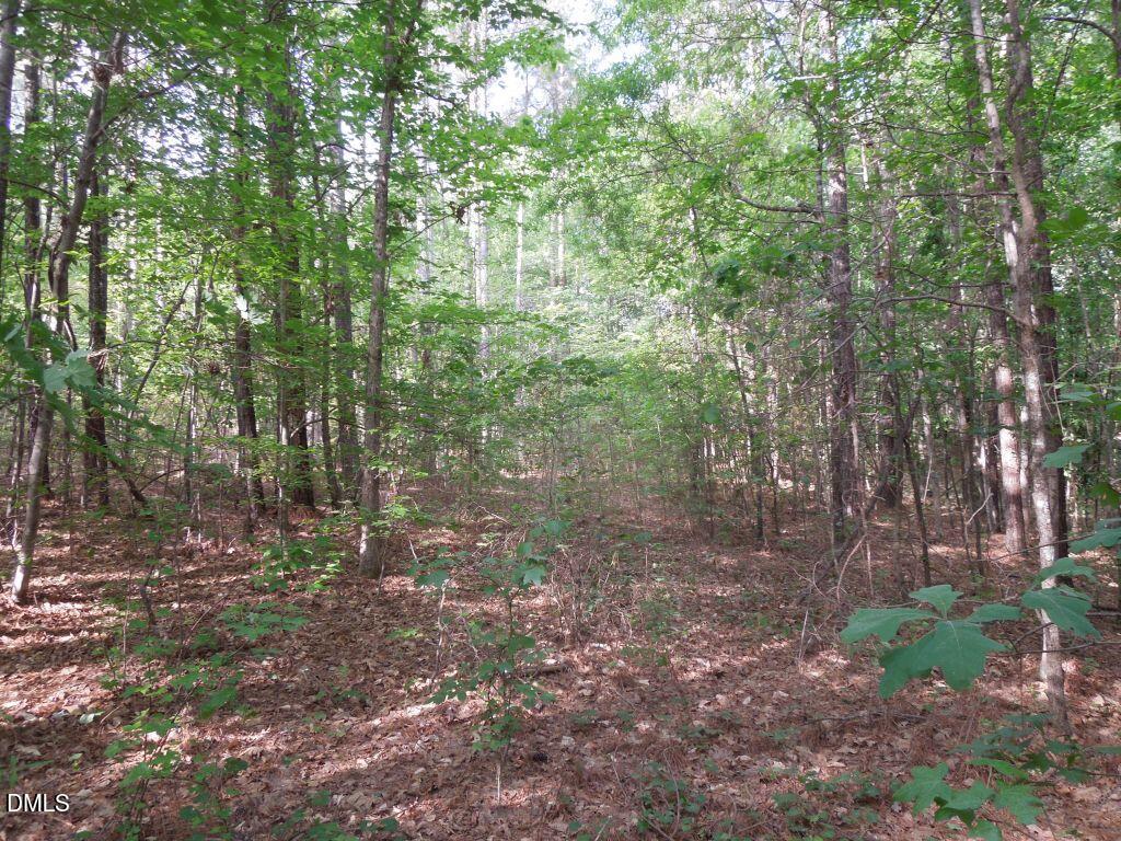 0 Glebe Road Henderson, NC 27537 - Photo 12 of 34 DSCN0484