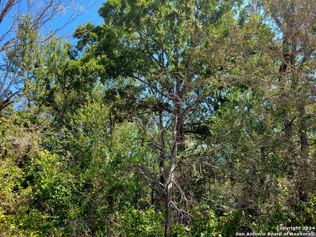 Tbd Tbd Dale Rd Dale Dale, TX 78616 - Photo 13 of 16