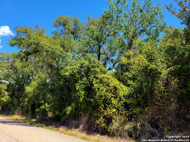 Tbd Tbd Dale Rd Dale Dale, TX 78616 - Photo 6 of 16 a view of a bunch of trees