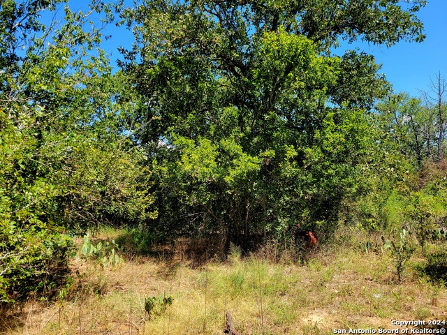 Tbd Tbd Dale Rd Dale Dale, TX 78616 - Photo 8 of 16