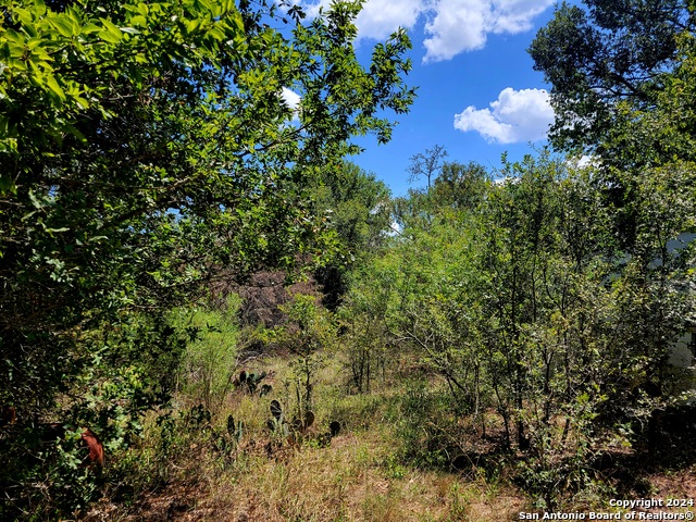 Tbd Tbd Dale Rd Dale Dale, TX 78616 - Photo 9 of 16 a view of a tree with a tree in the background