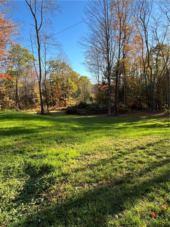 3021 Tedle Brook Road Harpersfield, NY 12093 - Photo 36 of 45