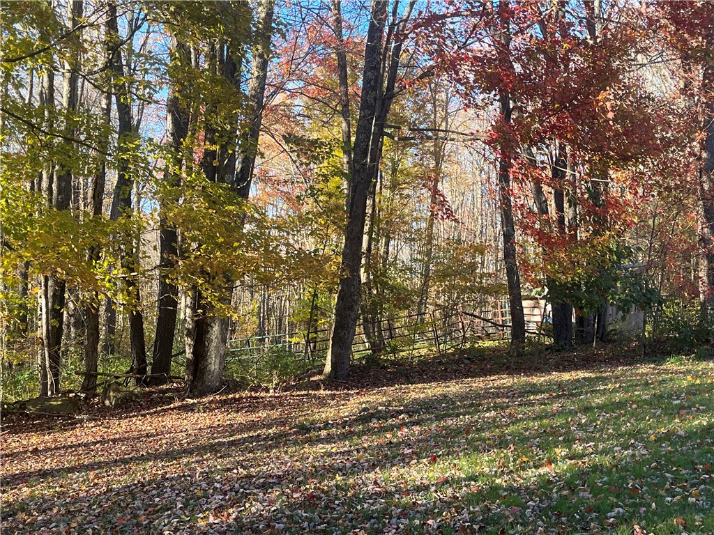 3021 Tedle Brook Road Harpersfield, NY 12093 - Photo 37 of 45