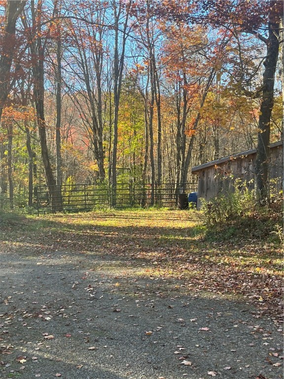 3021 Tedle Brook Road Harpersfield, NY 12093 - Photo 40 of 45