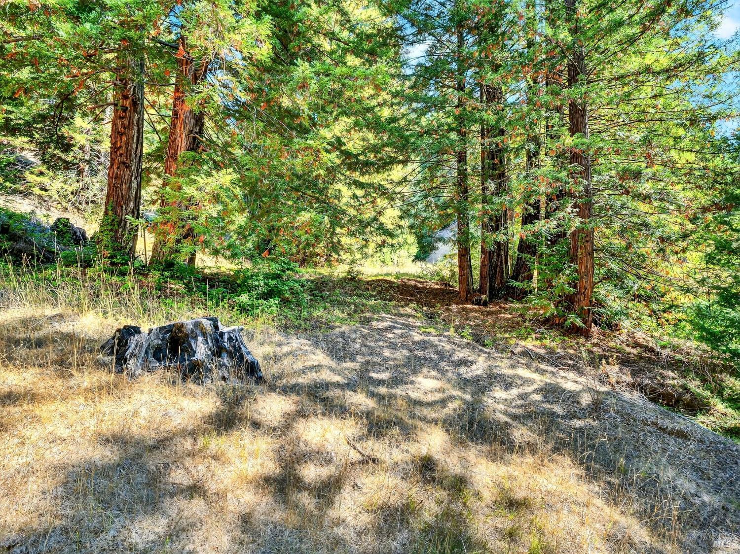 18750 Appian Way Navarro, CA 95463 - Photo 12 of 15 a big yard with lots of green space and plants