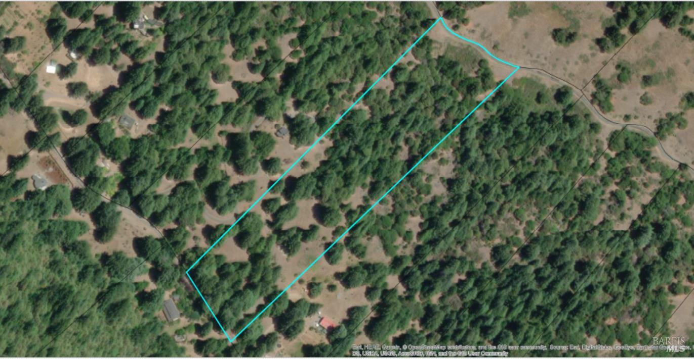 18750 Appian Way Navarro, CA 95463 - Photo 14 of 15 a view of a plant in a garden