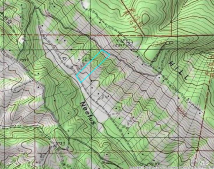 18750 Appian Way Navarro, CA 95463 - Photo 15 of 15 a close up of a plant in a garden