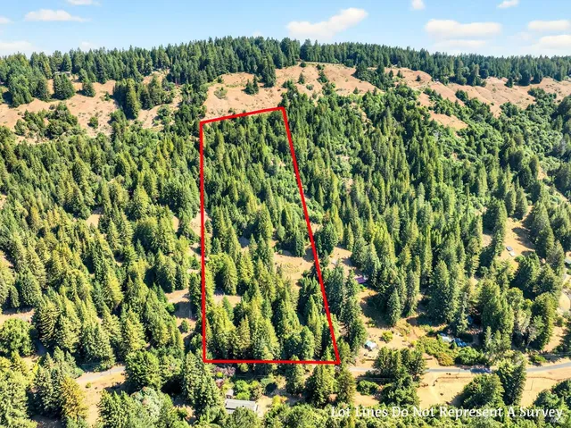 a view of a yard with plants and trees