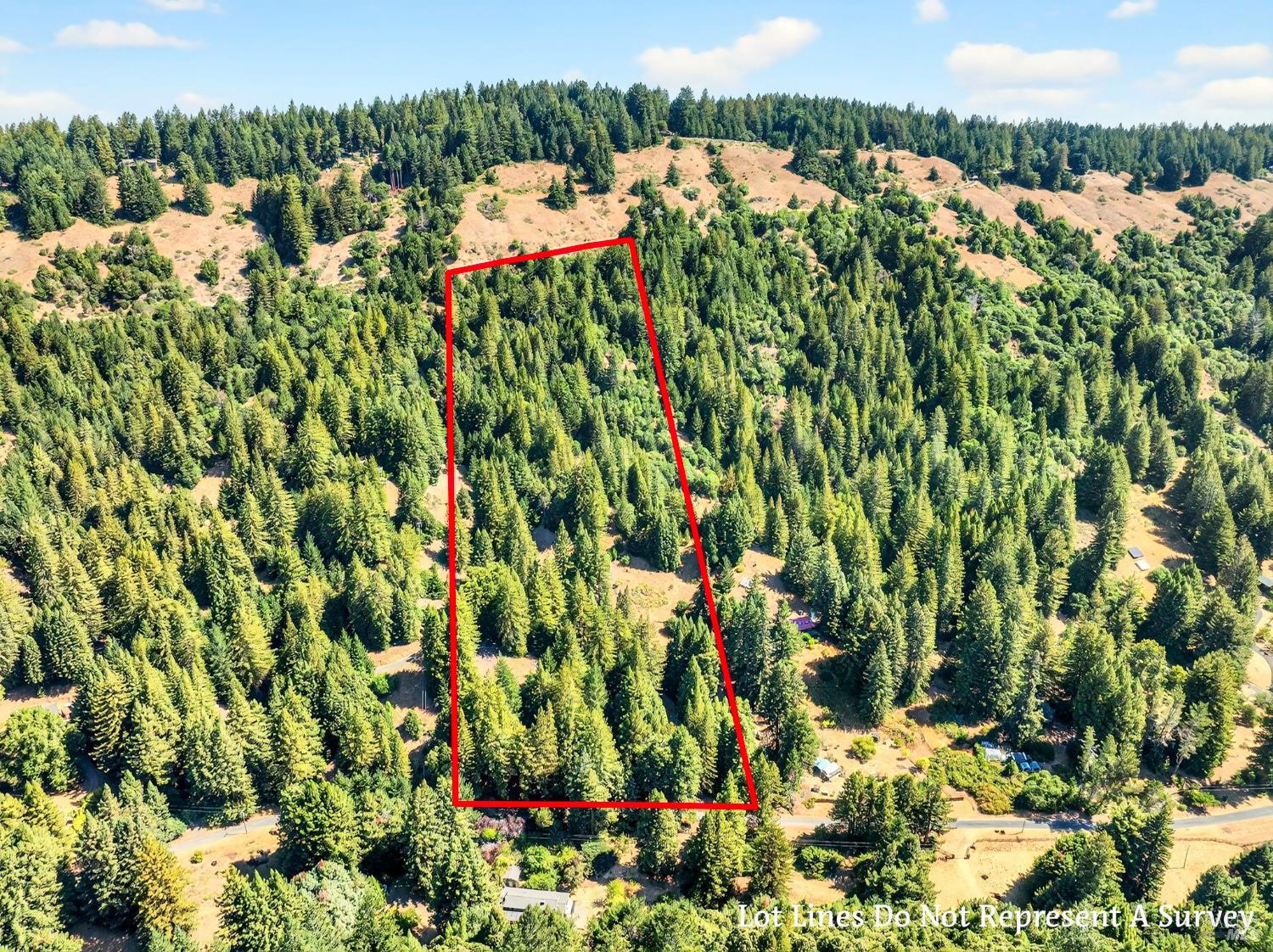 18750 Appian Way Navarro, CA 95463 - Photo 2 of 15 a view of a garden with a plant