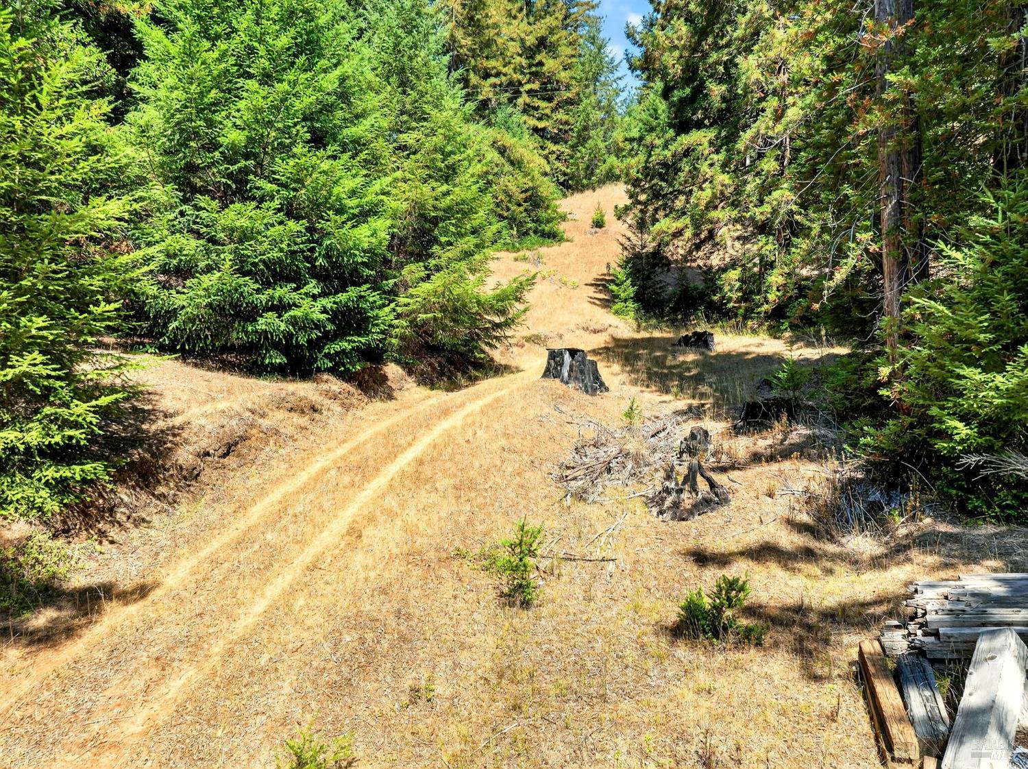 18750 Appian Way Navarro, CA 95463 - Photo 5 of 15 a view of a dry yard covered with snow