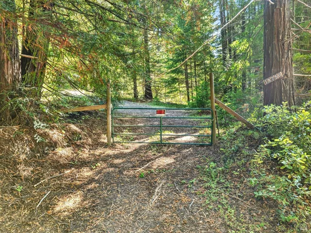 a view of snow on a road