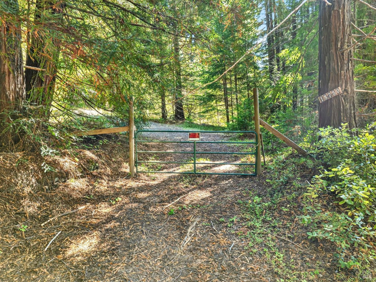 18750 Appian Way Navarro, CA 95463 - Photo 6 of 15 a view of a yard with plants and large trees
