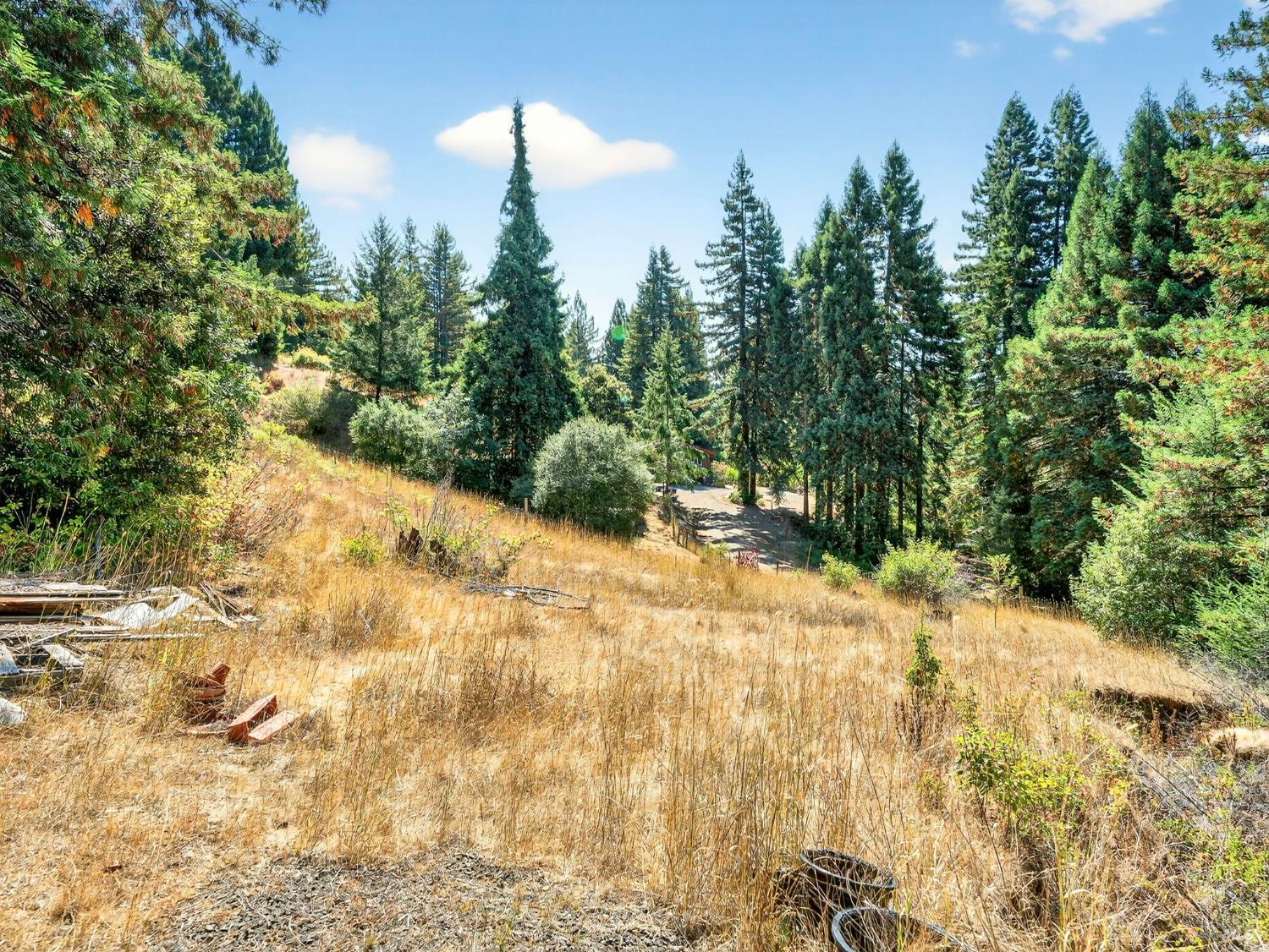 18750 Appian Way Navarro, CA 95463 - Photo 9 of 15 a view of a yard with plants and trees