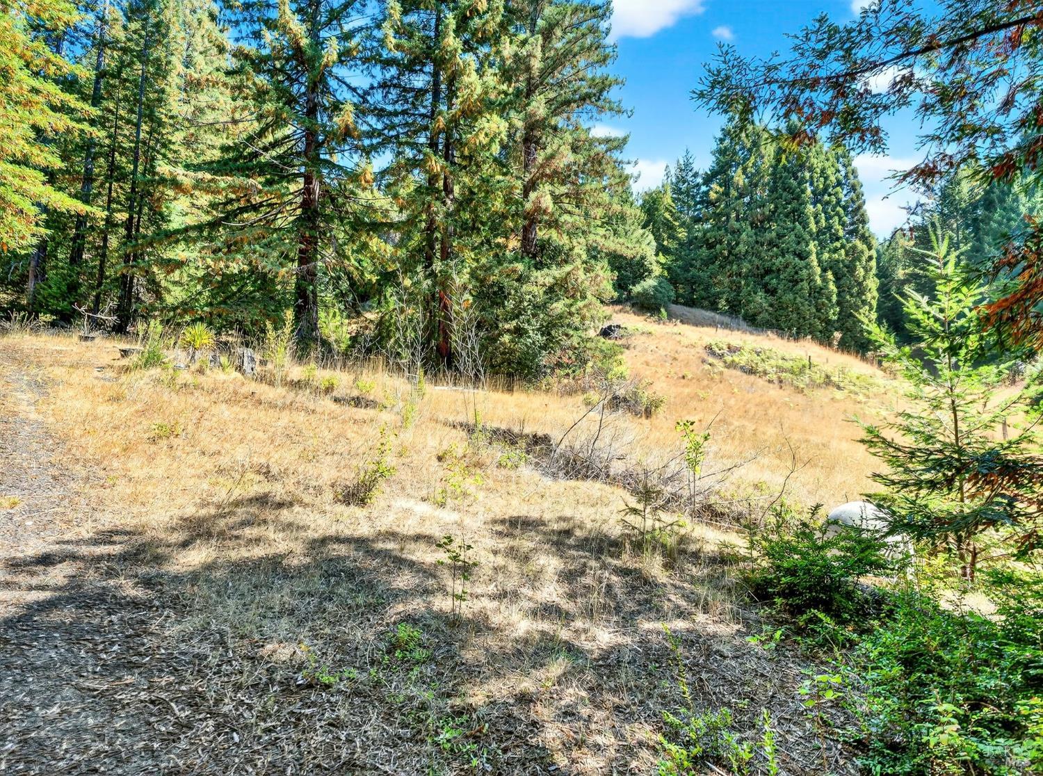 18750 Appian Way Navarro, CA 95463 - Photo 10 of 15 a view of empty yard