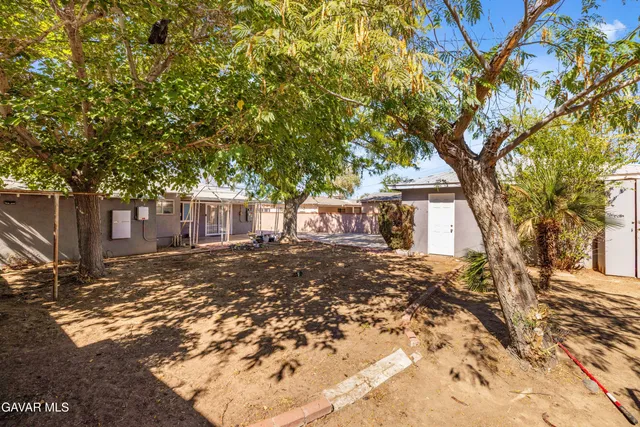 a view of a large tree in front of a house with large tree