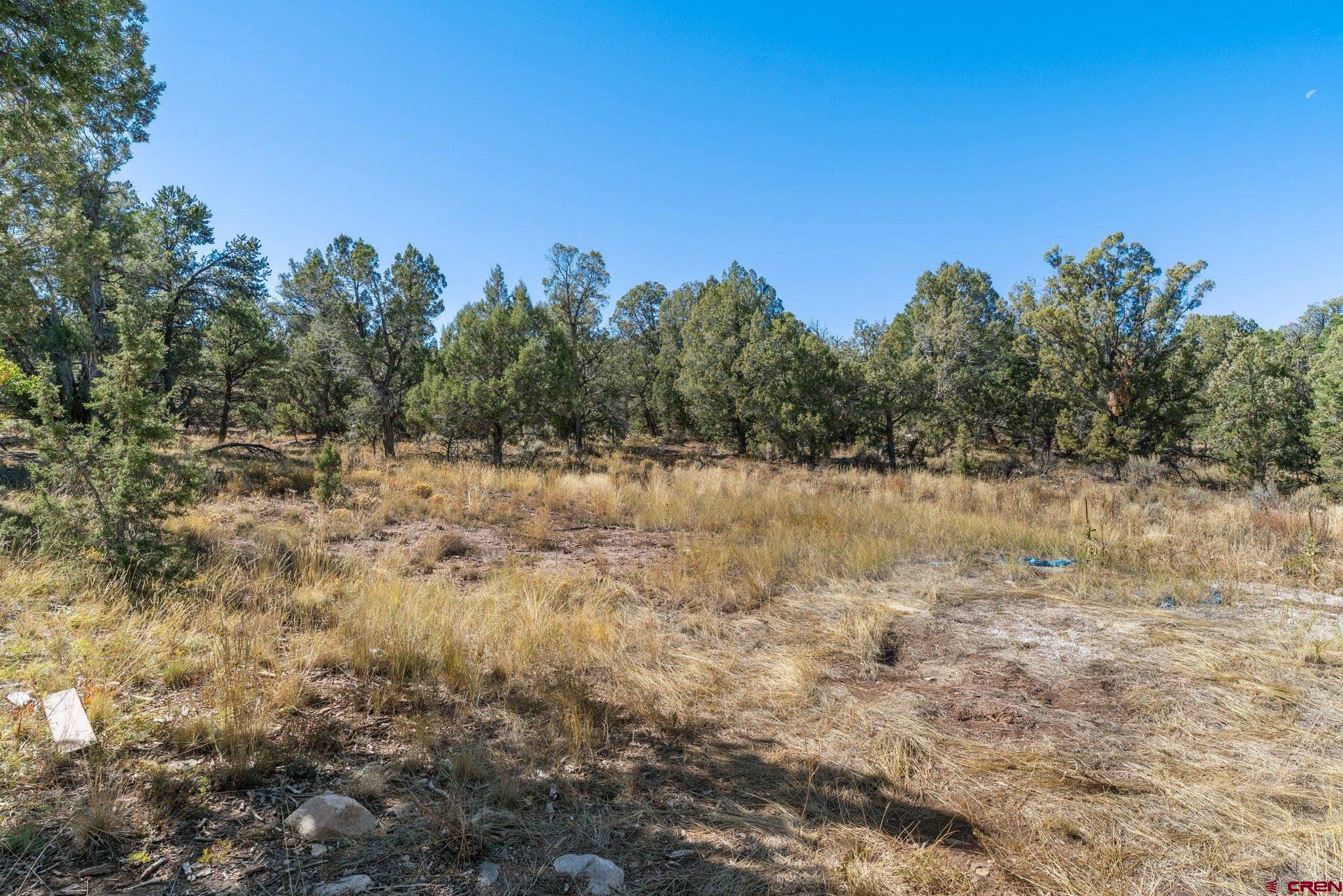 1716 Green Shadows Road Durango, CO 81303 - Photo 7 of 23 Gallery Image 7