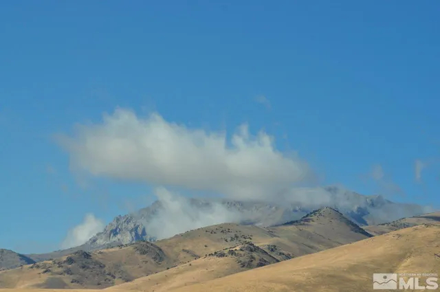 a view of a yard and front of house