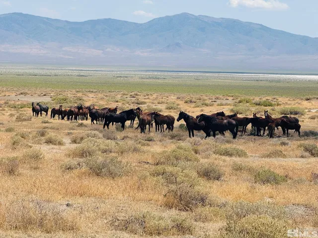 a view of ocean view with beach