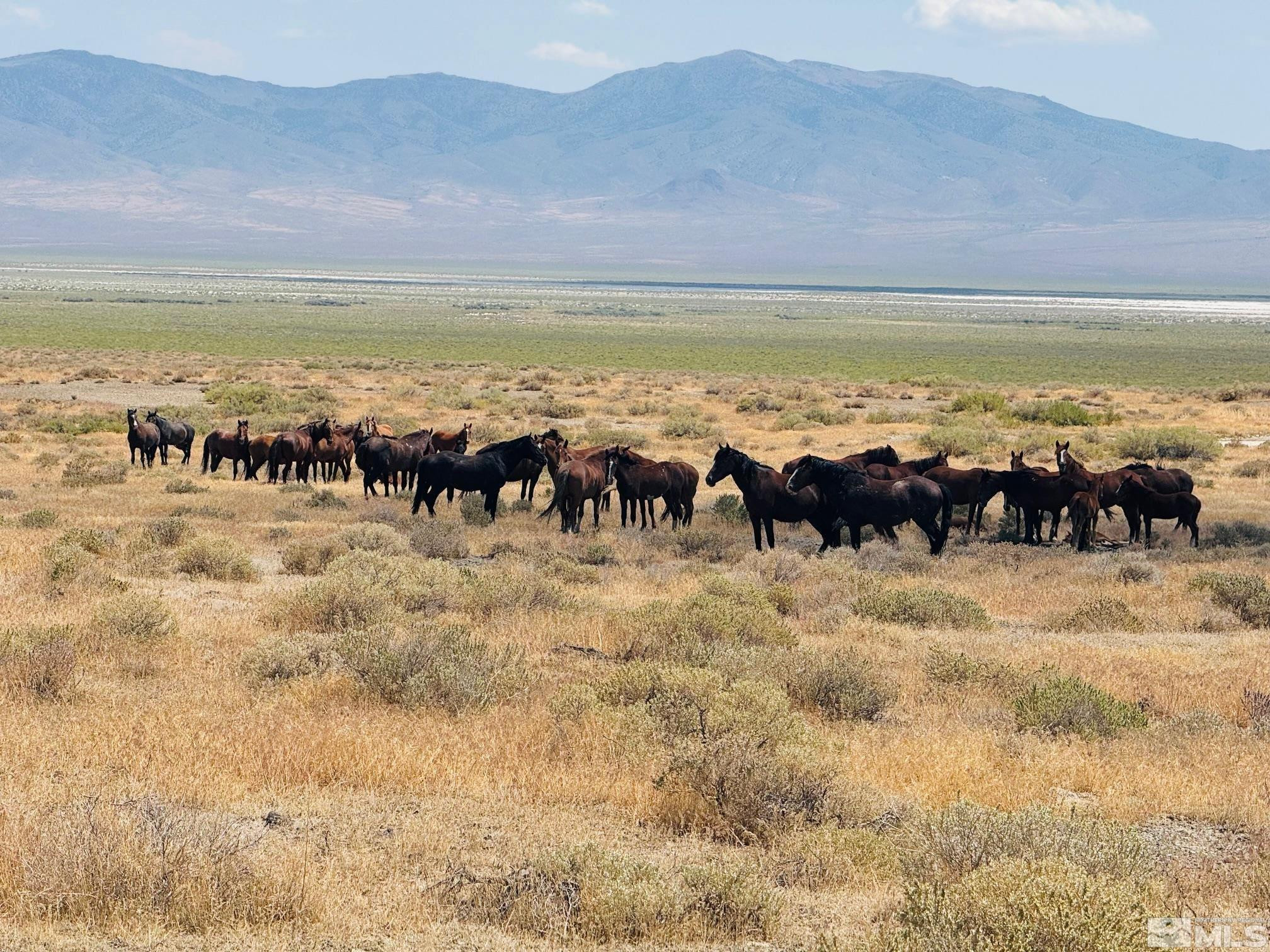 T32 Sec 25 Imlay, NV 89418 - Photo 17 of 21 Photo 18