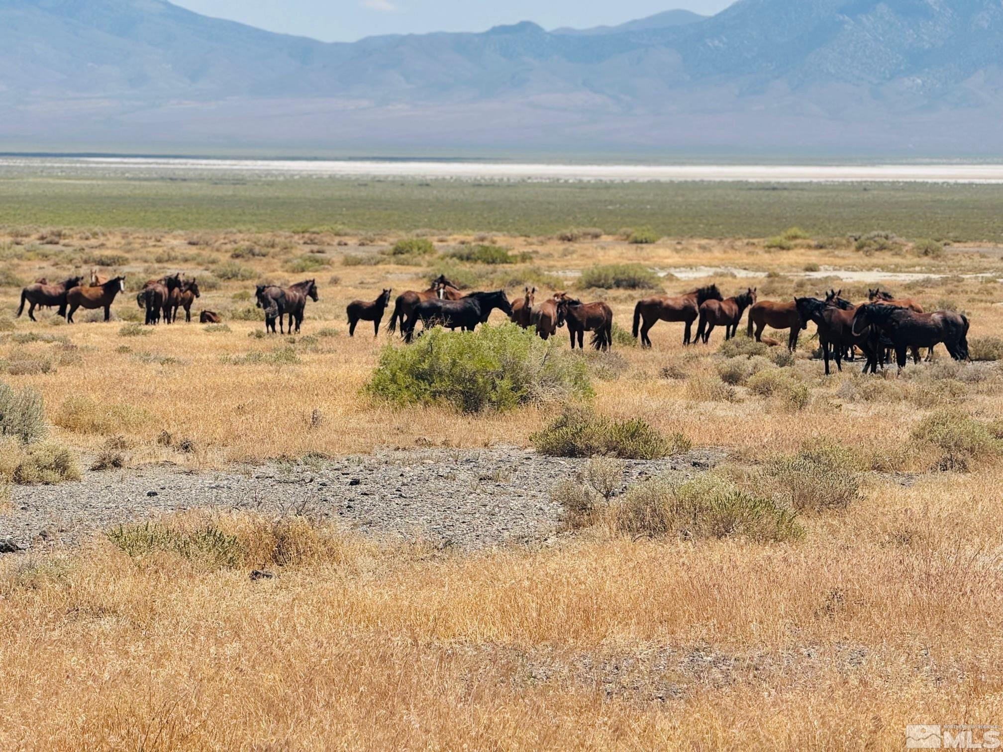 T32 Sec 25 Imlay, NV 89418 - Photo 18 of 21 Photo 19