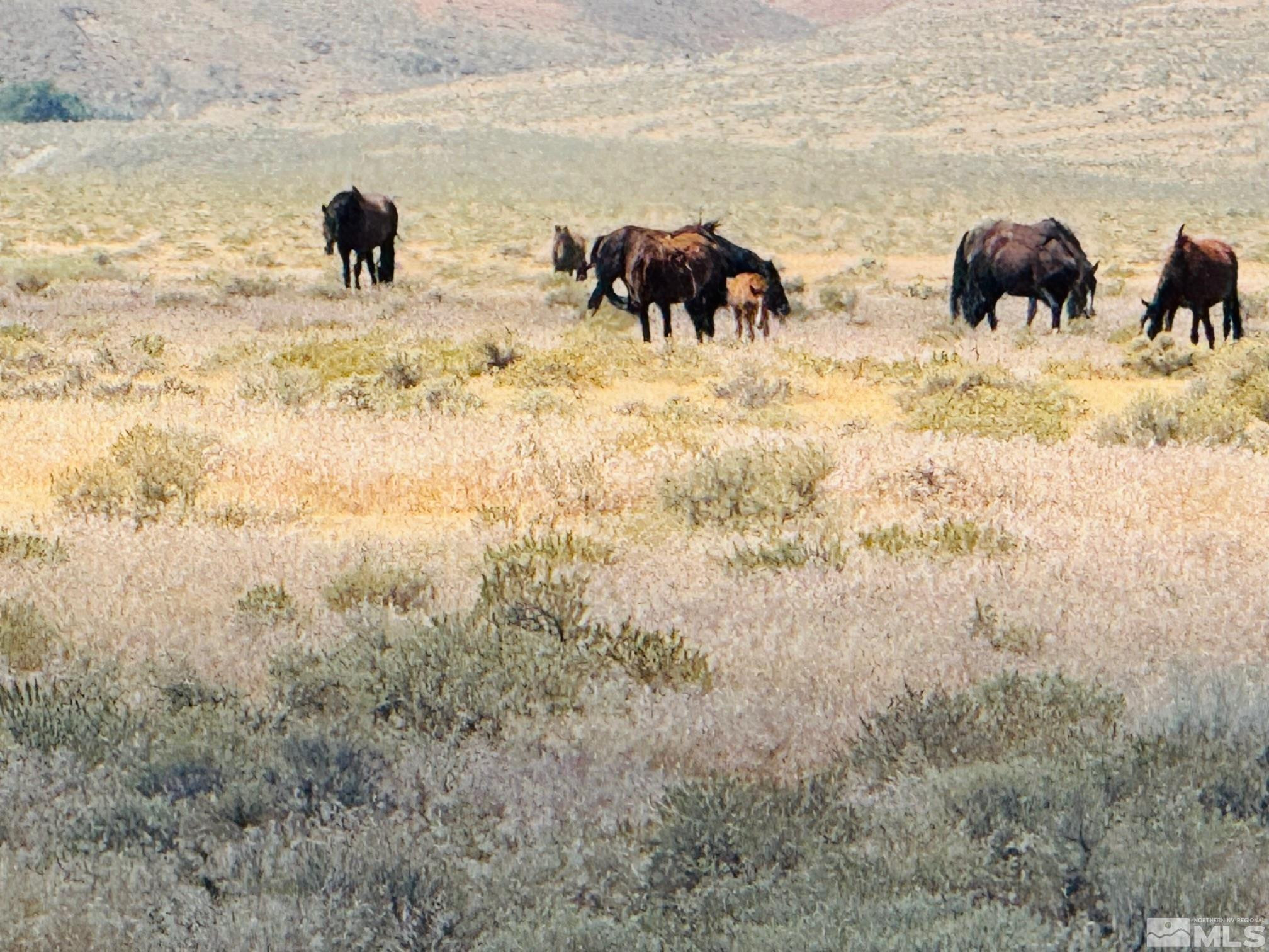 T32 Sec 25 Imlay, NV 89418 - Photo 19 of 21 Photo 20