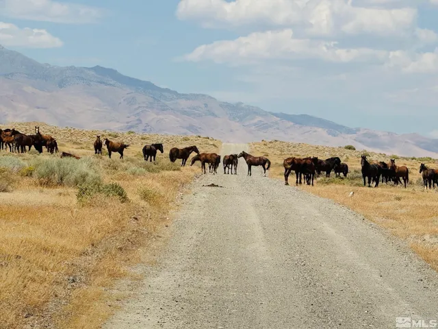 $150,000 | T32 Sec 25, Imlay, NV 89418