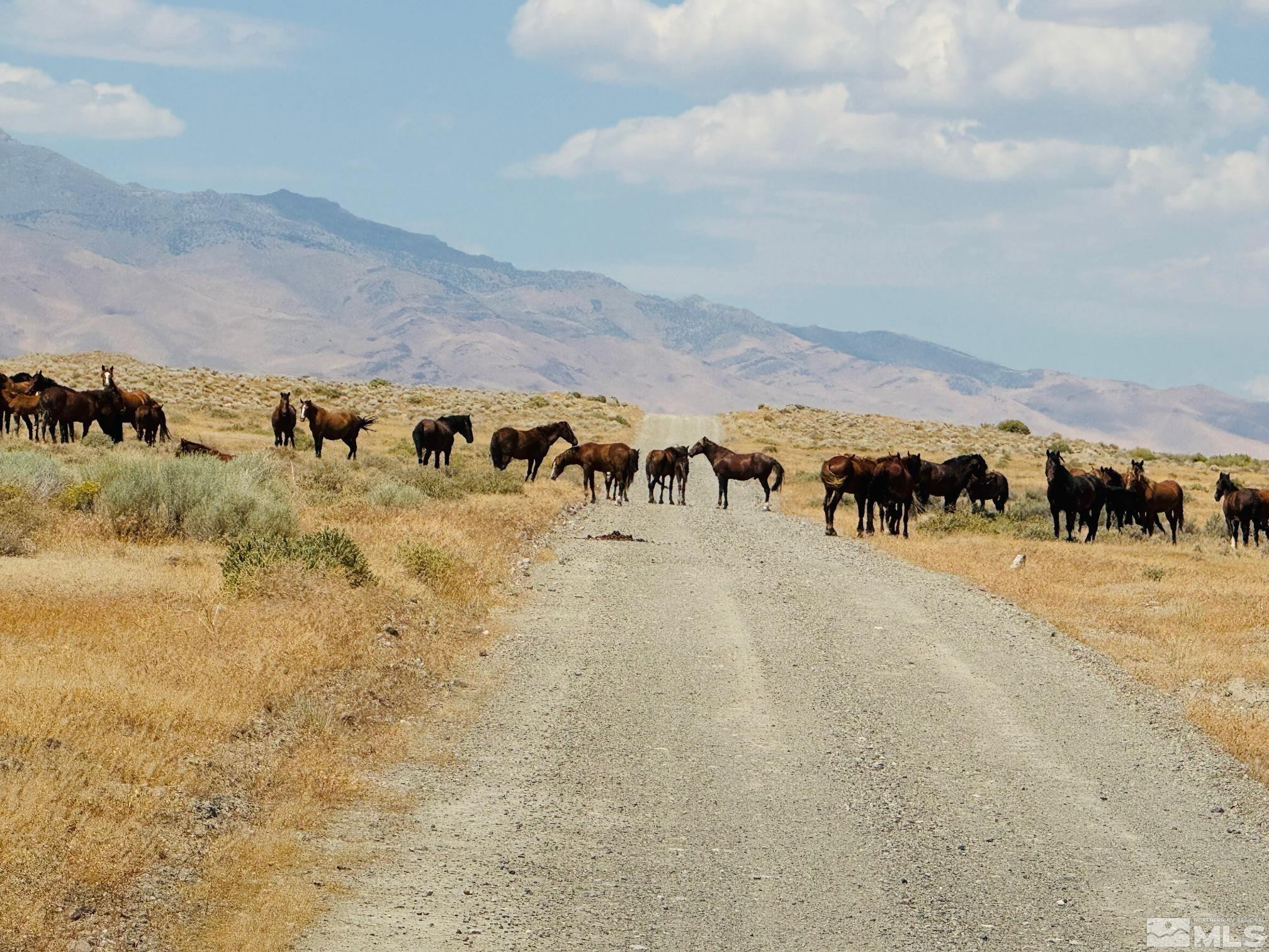T32 Sec 25 Imlay, NV 89418 - Photo 20 of 21 Photo 21